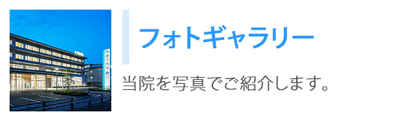 フォトギャラリー