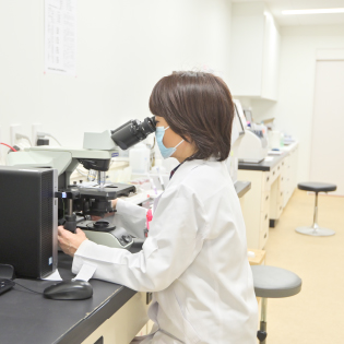 臨床検査部スタッフが顕微鏡を用いて検査を行なっている様子